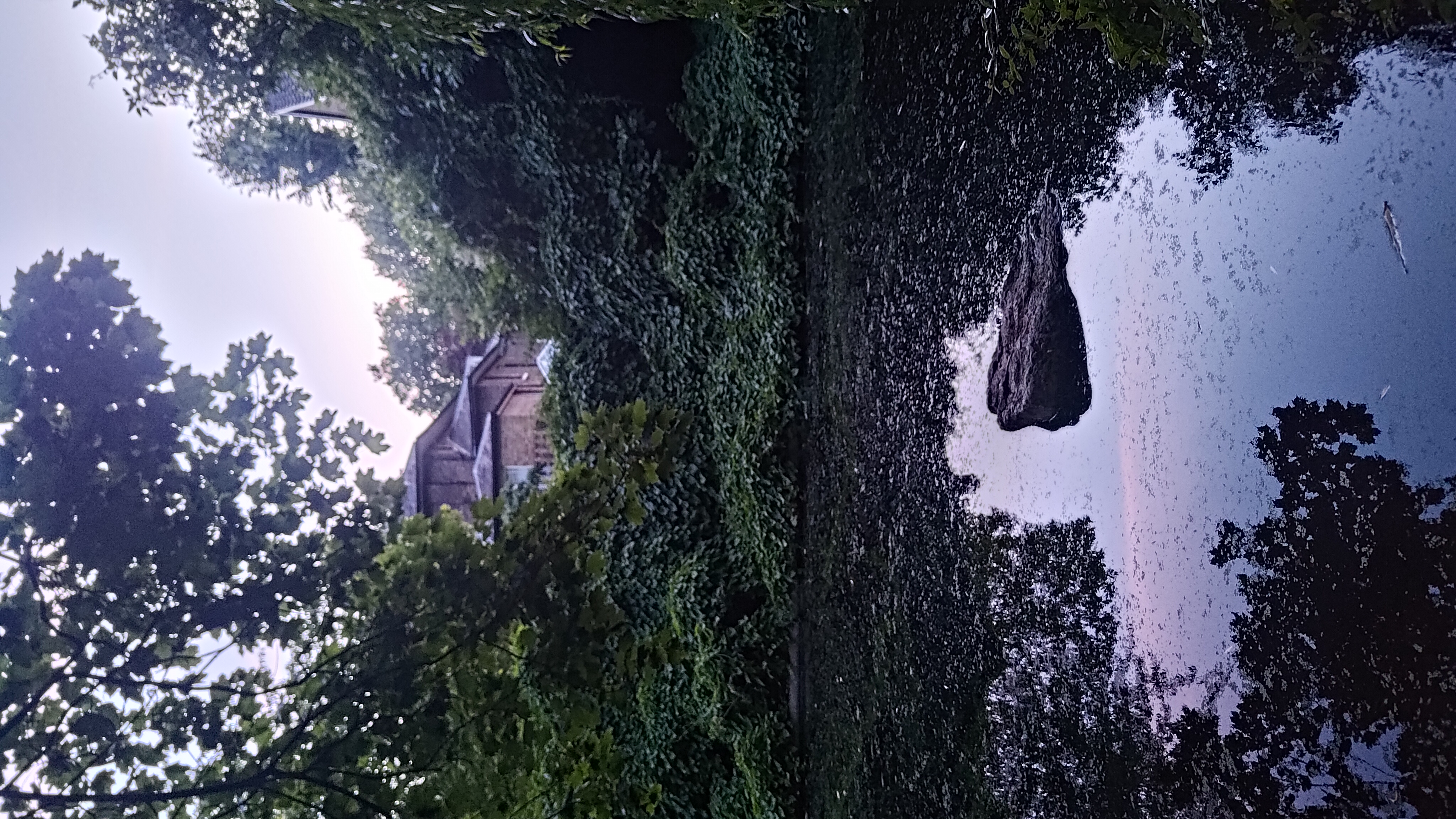 P_20250708_213151.jpg