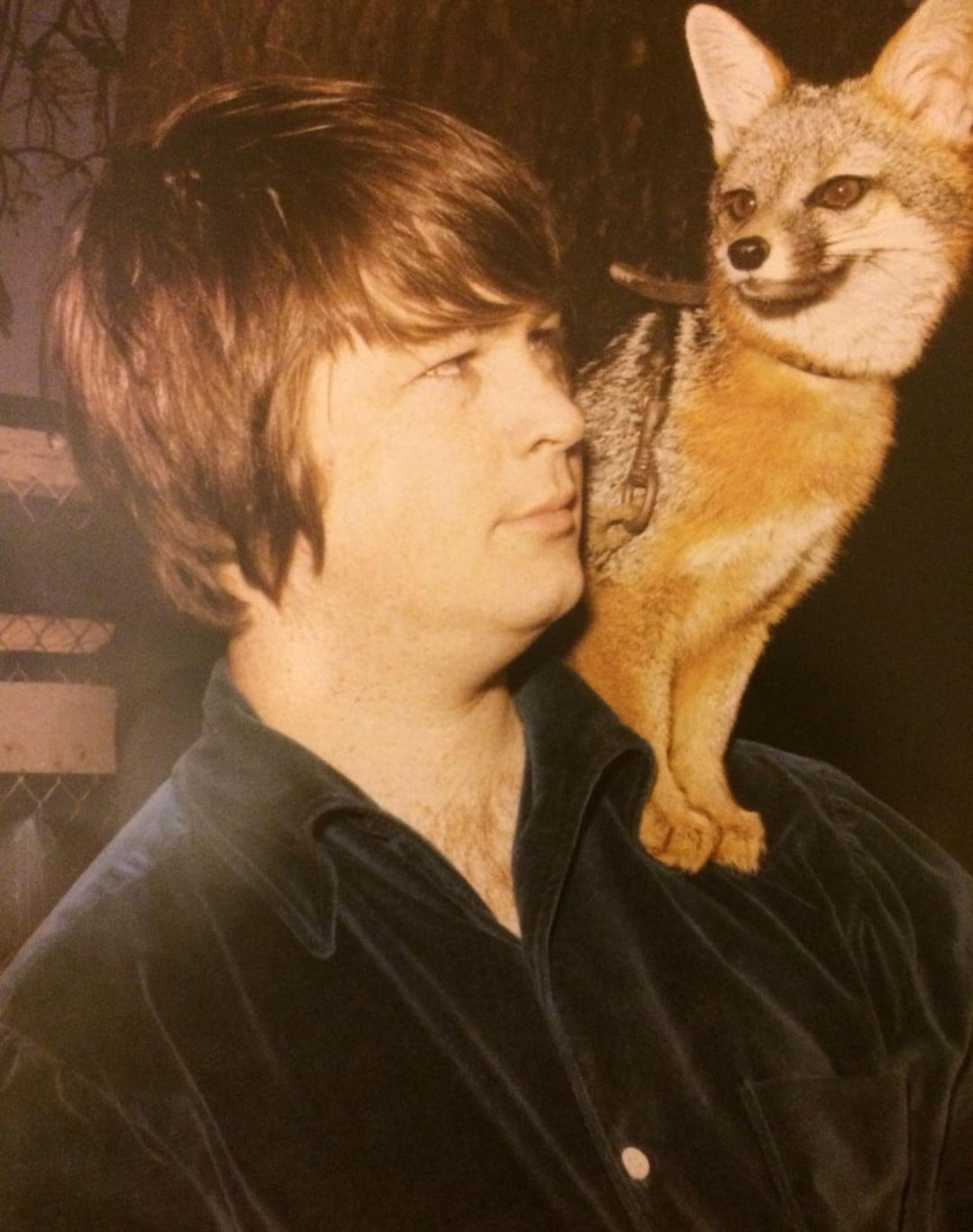 brian2.png
