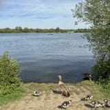 eyJidWNrZXQiOiJhc3NldHMuYWxsdHJhaWxzLmNvbSIsImtleSI6InVwbG9hZHMvcGhvdG8vaW1hZ2UvNzI5MjA2NTUvM2UyOTNhYjc4ND...1YW50aXNhdGlvbiI6dHJ1ZSwib3ZlcnNob290RGVyaW5naW5nIjp0cnVlLCJvcHRpbWlzZVNjYW5zIjp0cnVlLCJxdWFudGlzYXRpb25UYWJsZSI6M319fQ==.jpeg