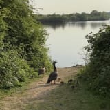 eyJidWNrZXQiOiJhc3NldHMuYWxsdHJhaWxzLmNvbSIsImtleSI6InVwbG9hZHMvcGhvdG8vaW1hZ2UvOTc2NTcwMTkvODAxZTQxN2RhMT...1YW50aXNhdGlvbiI6dHJ1ZSwib3ZlcnNob290RGVyaW5naW5nIjp0cnVlLCJvcHRpbWlzZVNjYW5zIjp0cnVlLCJxdWFudGlzYXRpb25UYWJsZSI6M319fQ==.jpeg
