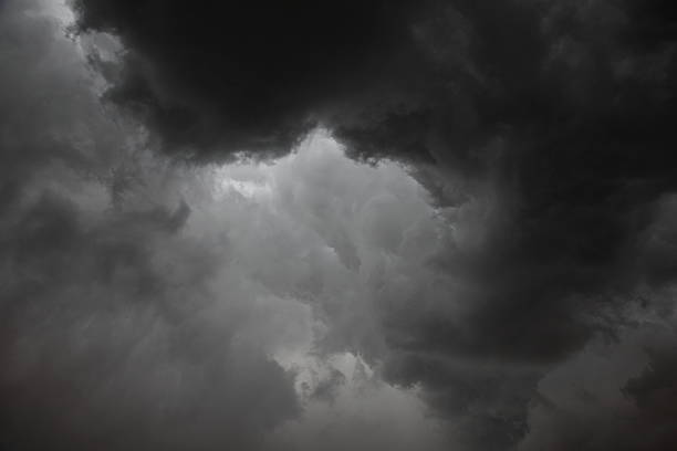 istockphoto-182866190-612x612.jpg
