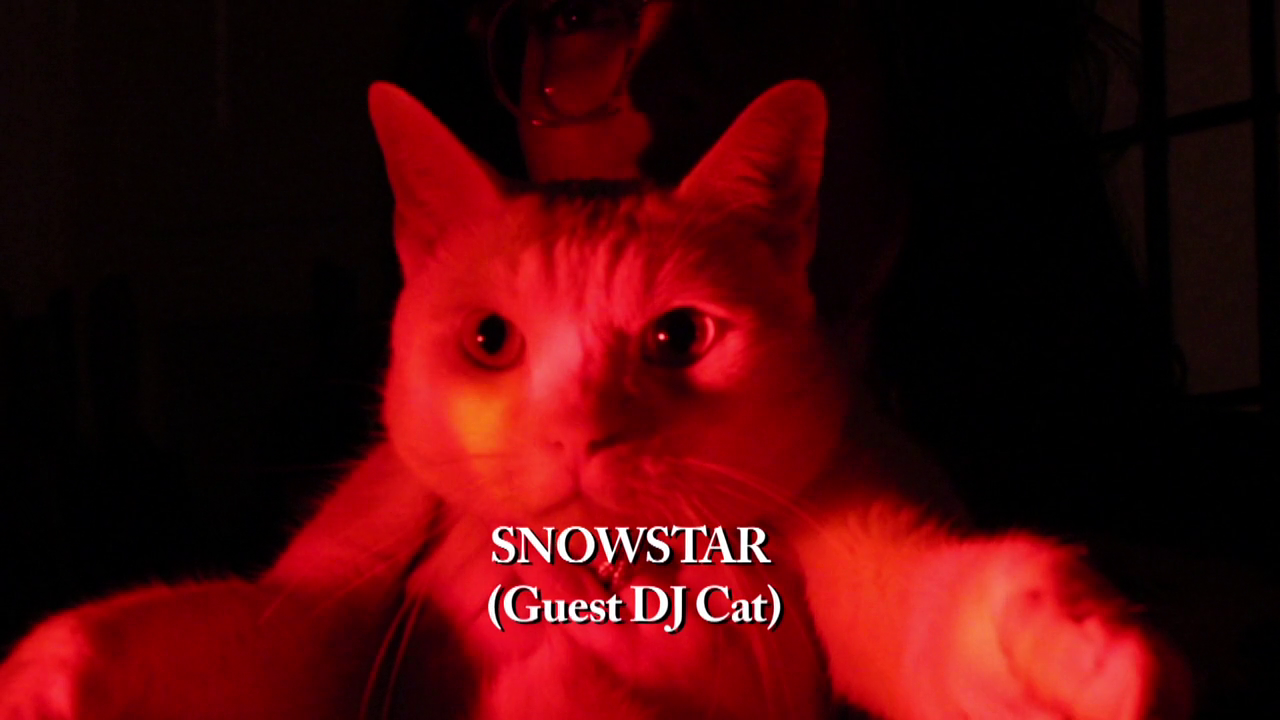 vlcsnap-2022-02-16-16h05m29s333.png