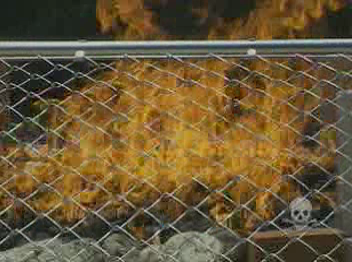vlcsnap-2024-04-21-12h13m13s204.png