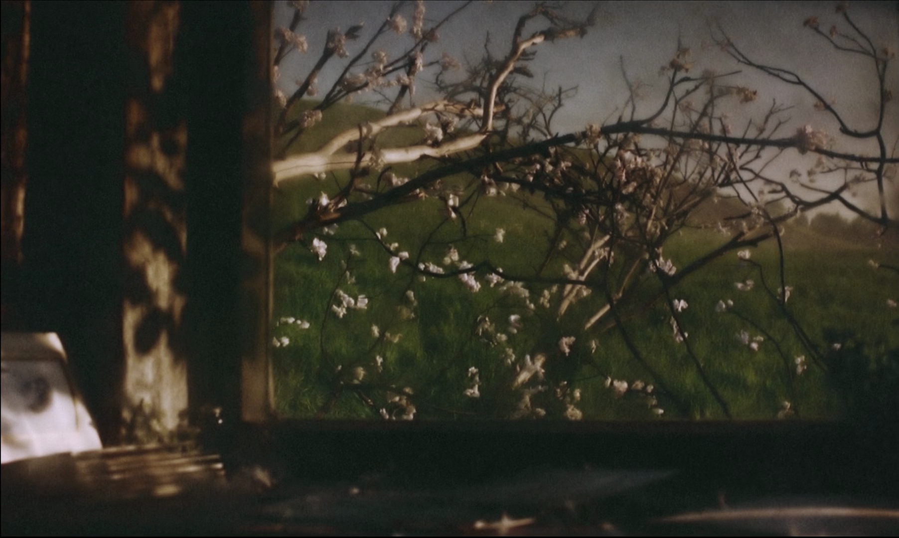vlcsnap-2025-06-21-18h08m14s238.png